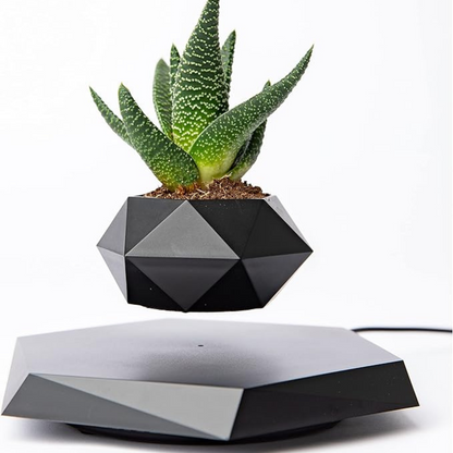 Levitating Planter for Small Plants