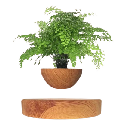 Levitating Planter for Small Plants