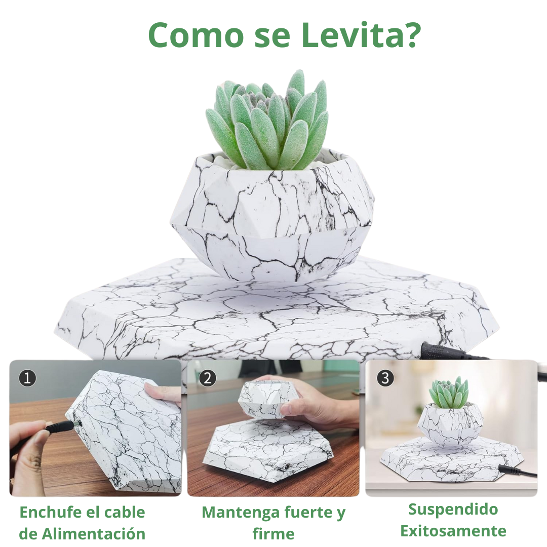 Maceta Levitante Para Plantas Pequeñas