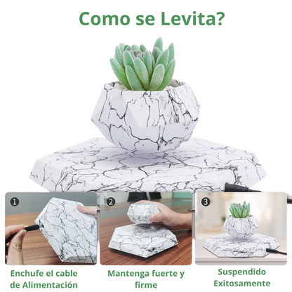 Levitating Planter for Small Plants