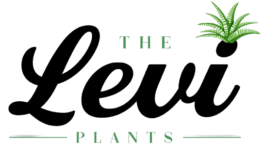 THE LEVI PLANTS